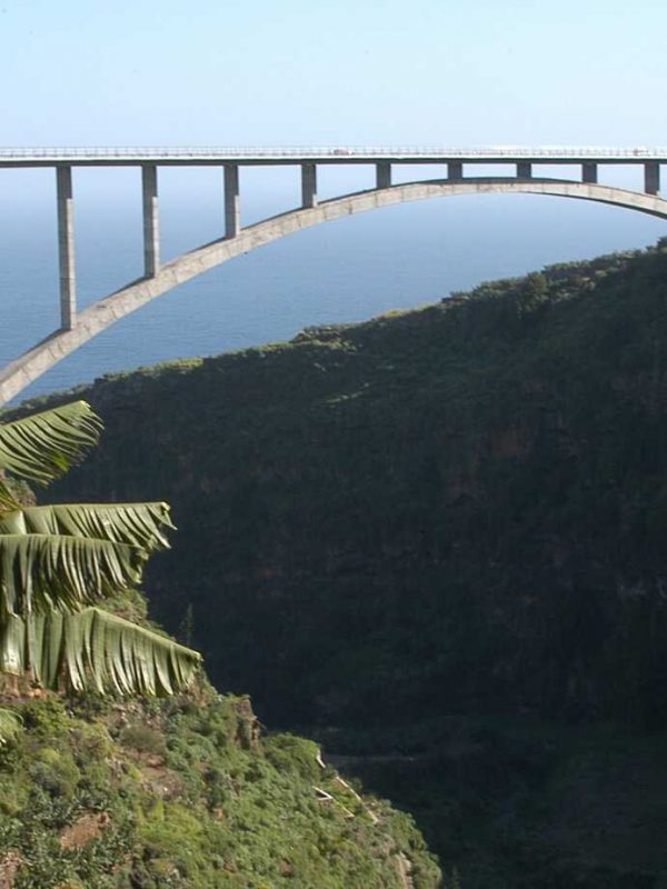 arco de los tilo en españa